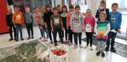 Img 20211112 091534